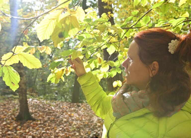 Natur- und Kräuterwanderung nach Bilz